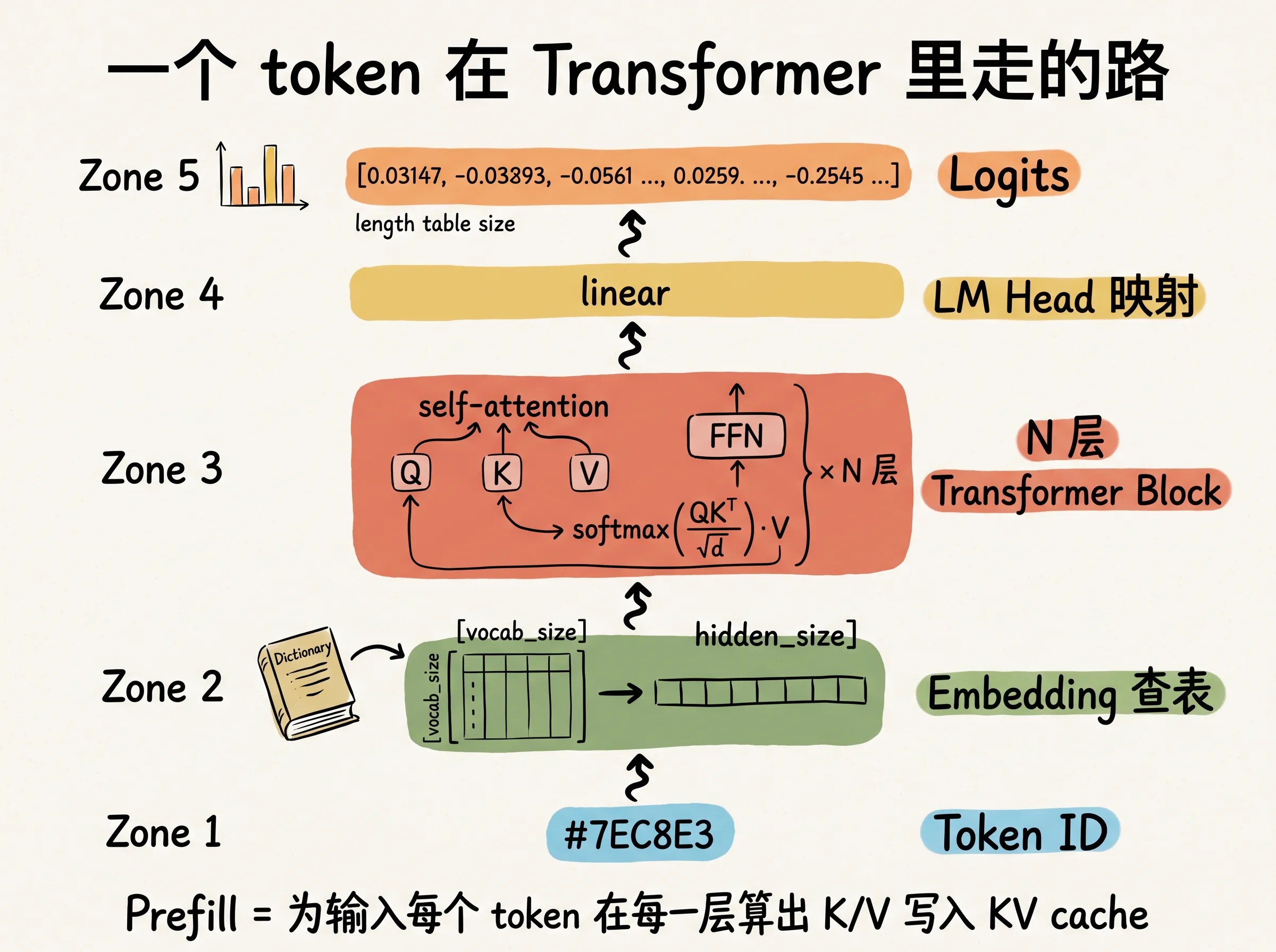 单个 token 在 Transformer 中的完整路径